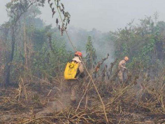 Combate a inc&ecirc;ndios no Pantanal podem durar at&eacute; o final de semana