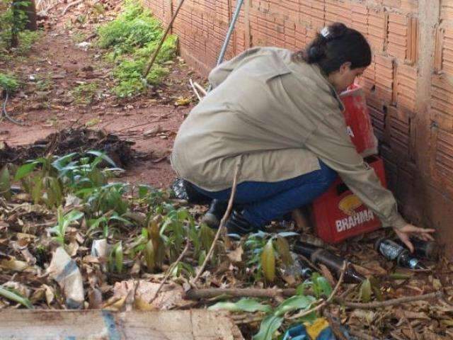 No 1&ordm; dia, mutir&atilde;o contra a dengue encontra 400 focos do mosquito
