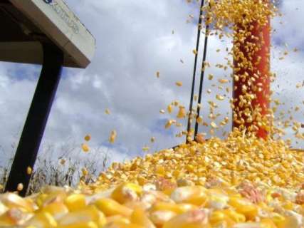 Governo do Estado cria resolução para atrair usinas de etanol de milho