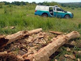 Agredido por empreiteiro, dono de fazenda denuncia crime ambiental
