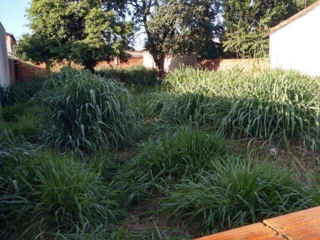 M&atilde;e e filho s&atilde;o presos pela morte de servente encontrado em terreno baldio 
