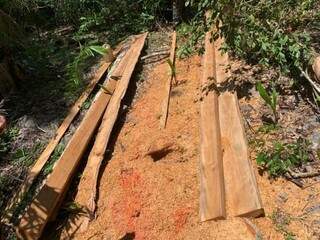 Madeira derrubada ilegalmente em propriedade rural no município de Bodoquena (Foto: Divulgação/PMA)