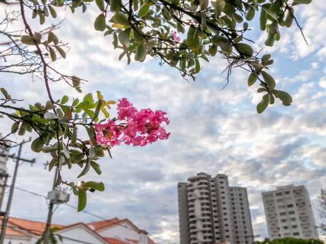 Alerta de chuva forte ainda vale e m&aacute;xima chega aos 36&ordm;C em MS nesta quarta