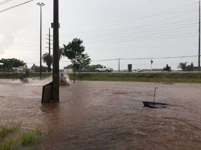 Volume de chuva foi de 45,5 mil&iacute;metros, dobro do registrado em janeiro