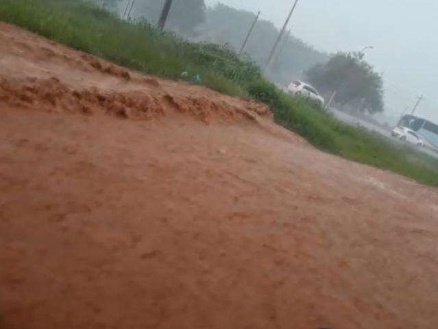 Temporal com ventos fortes alaga ruas e derruba &aacute;rvores na fronteira 