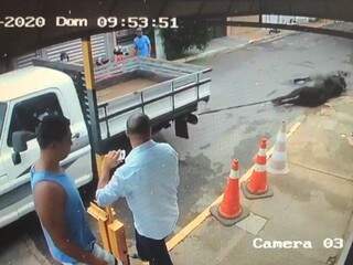 V&iacute;deos mostram touro invadindo residencial e saindo arrastado, morto