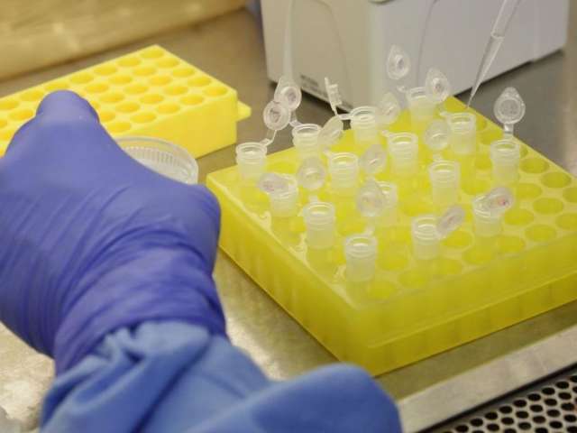 Novo coronav&iacute;rus infectou 20 no Pa&iacute;s e minist&eacute;rio investiga 674 casos, 7 em MS