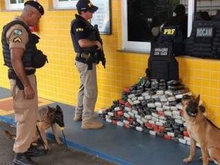 Carga de coca&iacute;na que saiu de Dourados &eacute; farejada por c&atilde;es e apreendida 