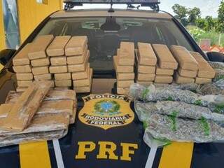 PRF flagra 4 passageiros de &ocirc;nibus com 72 quilos de maconha e skank na BR-163