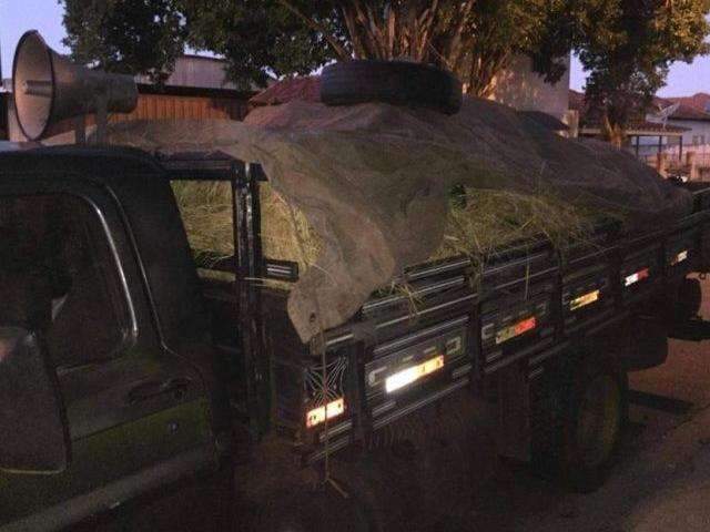 Vendedor de frutas &eacute; preso suspeito de abusar de crian&ccedil;as de 8 e 9 anos
