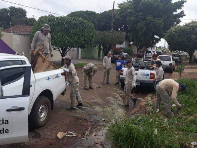 Saúde confirma mortes de 2 mulheres e dengue fecha janeiro com seis vítimas