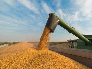 POordução de soja será recorde este ano no Estado, superando 10 milhões de toneladas. (Arquivo)
