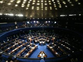 Plenário do Senado. (Foto: Fabio Rodrigues Pozzebom/AgênciaBrasil)