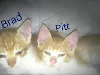 Carlinhos antes era o Pitt, que está ao lado do irmão gêmeo Brad (Foto: Arquivo pessoal)