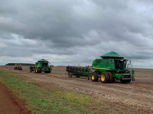 Plantio da safrinha de milho deve cair 9% no Estado este ano