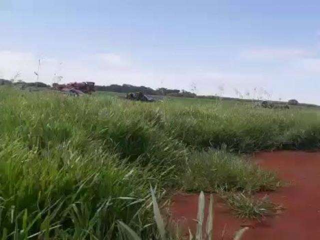 V&iacute;deo mostra confus&atilde;o entre For&ccedil;a Nacional e ind&iacute;genas em &aacute;rea disputada