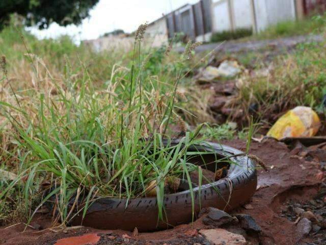 Com "boom" nas primeiras semanas de 2020, epidemia de dengue é iminente 