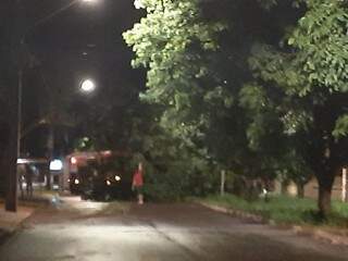 Árvore caiu na Avenida São Nicolau, próximo ao cruzamento com a Rua Santa Emília. (Foto: Direto das Ruas) 