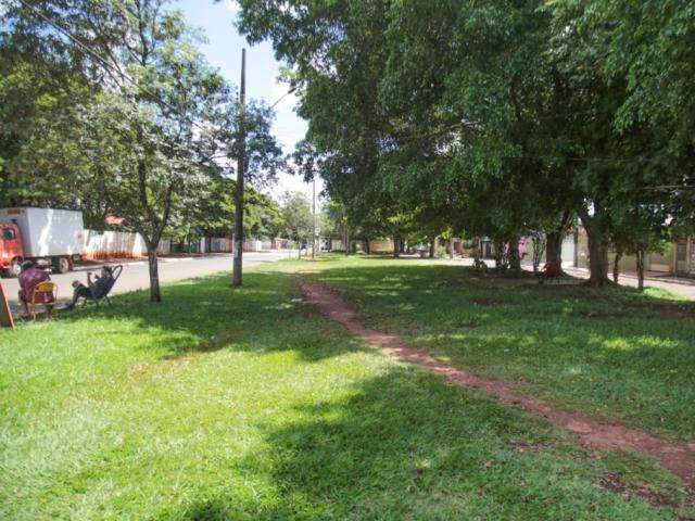 Ataque de pitbull em pra&ccedil;a foi leg&iacute;tima defesa, diz dono do animal