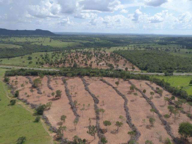 Pecuarista &eacute; multado em R$ 12 mil por desmatamento em &aacute;rea de 11,3 hectares