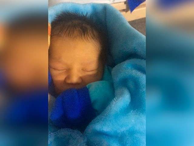 Pol&iacute;cia apura neglig&ecirc;ncia em caso de beb&ecirc; morto e encontrado com formigas