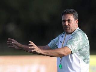 Vanderlei Luxemburgo comanda treino do Palmeiras antes da enfrentar Atlético (Foto: Divulgação)