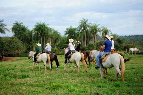 Em Jardim, passeio a cavalo é uma boa opção de turismo rural nestas férias 