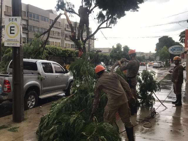 Durante ventania, galhos atingem camionete na Rua Maracaju