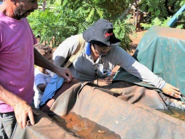 Janeiro tem diminui&ccedil;&atilde;o de 25% nas notifica&ccedil;&otilde;es de dengue em Campo Grande