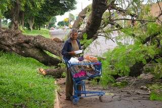 O morador de rua encontrou uma marmita num carrinho de compras, logo após uma árvore cair na rua Marechal Deodoro (Foto: Silas Lima)