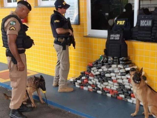 Carga de coca&iacute;na que saiu de Dourados &eacute; farejada por c&atilde;es e apreendida 