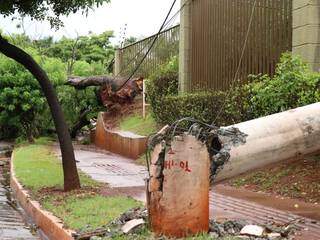 Detalhe do poste destruído em frente ao residencial e árvore caída ao fundo (Foto: Henrique Kawaminami)