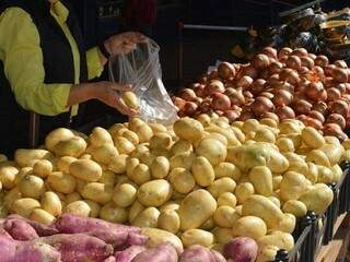 Puxada pela banana, tomate e batata, cesta b&aacute;sica sobe 1,28% em fevereiro