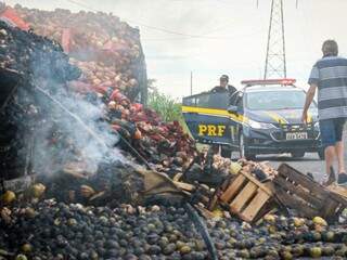 Frutas e verduras foram destruídas pelas chamas. (Foto: Henrique Kawaminami)