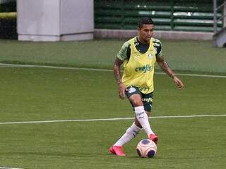 Dudu treina no Allianz Parque para enfrentar o Guarani. Atacante completará 300 jogos pelo Verdão (Foto: Divulgação)