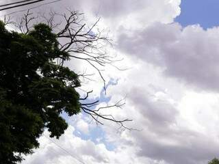 Céu parcialmente nublado na tarde desta sexta-feira em Campo Grande (Foto: Kísie Ainoã)