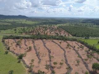 Pecuarista &eacute; multado em R$ 12 mil por desmatamento em &aacute;rea de 11,3 hectares