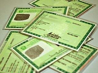 STF confirma que motorista condenado pode ter CNH suspensa