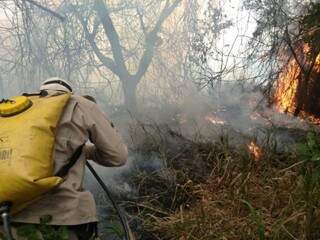 Militares usando bomba costal para apagar o incêndio em vegetação. (Foto: Divulgação/Corpo de Bombeiros) 