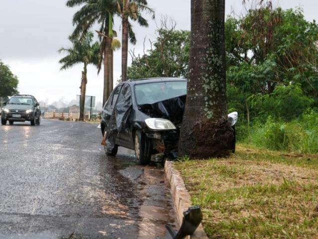 Motorista perde o controle e bate carro em &aacute;rvore &agrave;s margens do Rio Anhandui