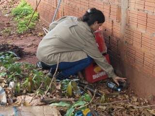 Agente de saúde cata garrafa de quintal. Objeto é local ideal para criadouro (Foto: PMCG/Divulgação)