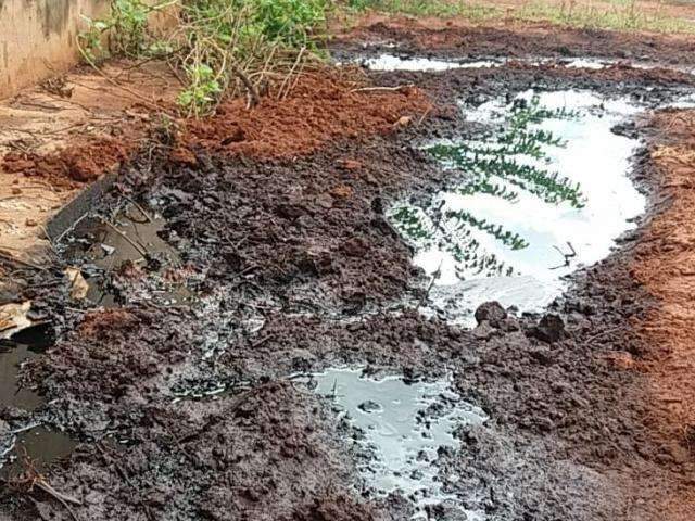 Diretor de ind&uacute;stria &eacute; autuado por polui&ccedil;&atilde;o causada por graxas e &oacute;leos