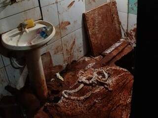 Banheiro sujo em ala do PCC no Presídio paraguaio mostra indícios de túnel escavado (Foto: Divulgação)