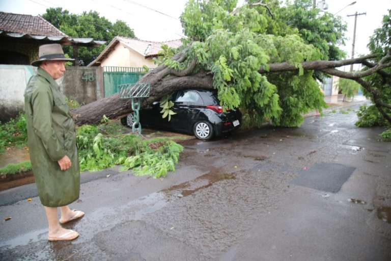 Campo Grande News