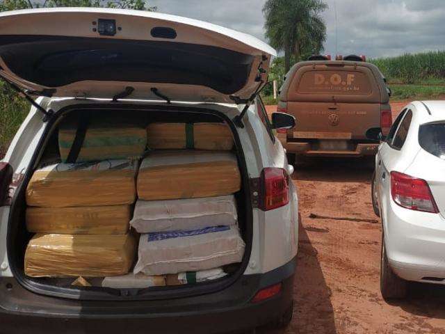 DOF apreende quase R$ 20 mil e 850 quilos de maconha durante Opera&ccedil;&atilde;o H&oacute;rus