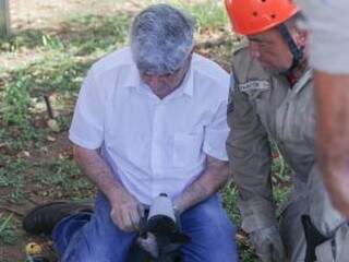 Veterinário e vereador, Francisco Gonçalves, coloca focinheira no cachorro (Foto: Marcos Maluf)