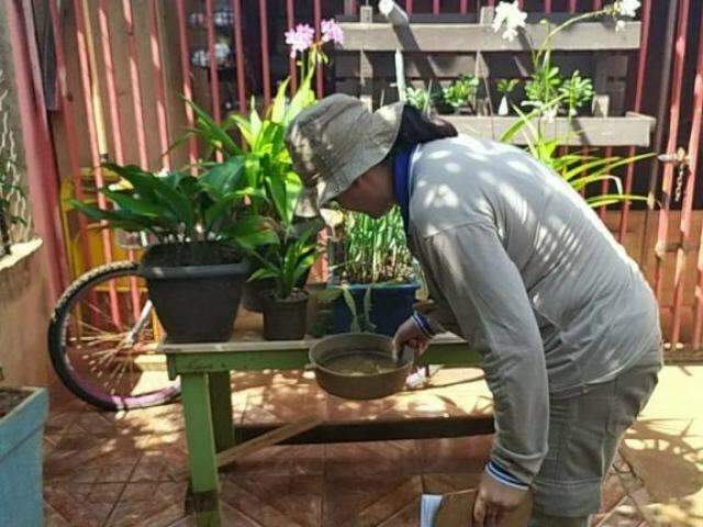 For&ccedil;a-tarefa visita 19 mil im&oacute;veis e elimina mil focos do mosquito da dengue