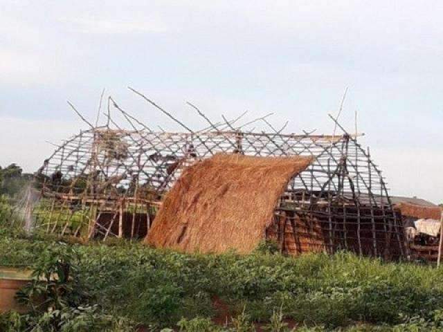 Kaiow&aacute;s que perderam casa sagrada insistem que inc&ecirc;ndio foi criminoso