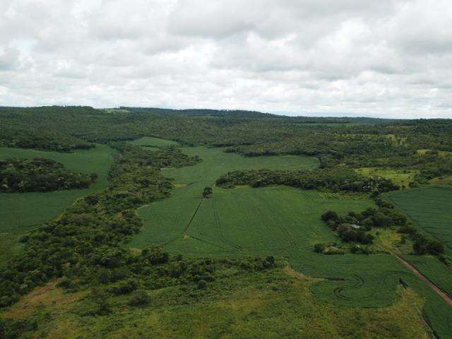 PMA aplica R$ 181 mil em multa por 172 hectares de desmatamento 