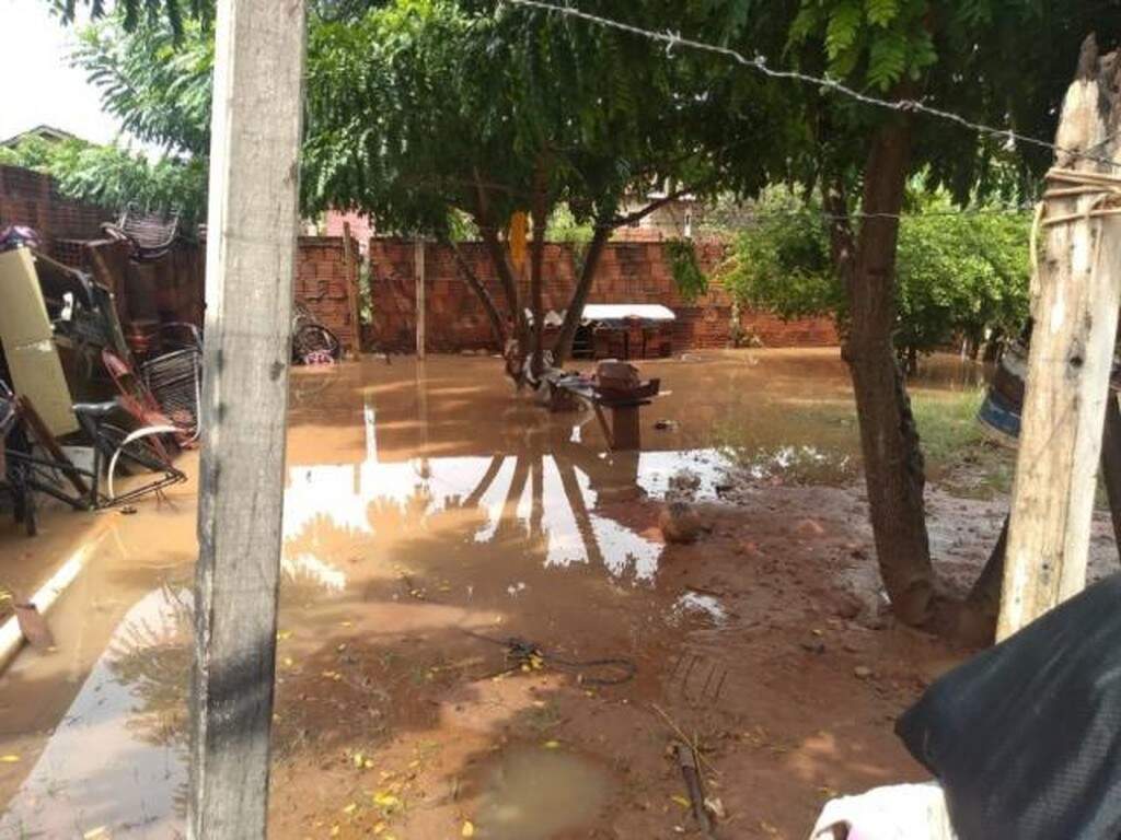 Rvores Caem E Enxurrada Invade Casas Ap S Mil Metros De Chuva